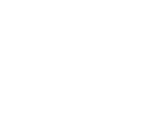 lavandou-logo white